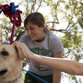 Halloween Dog Wash