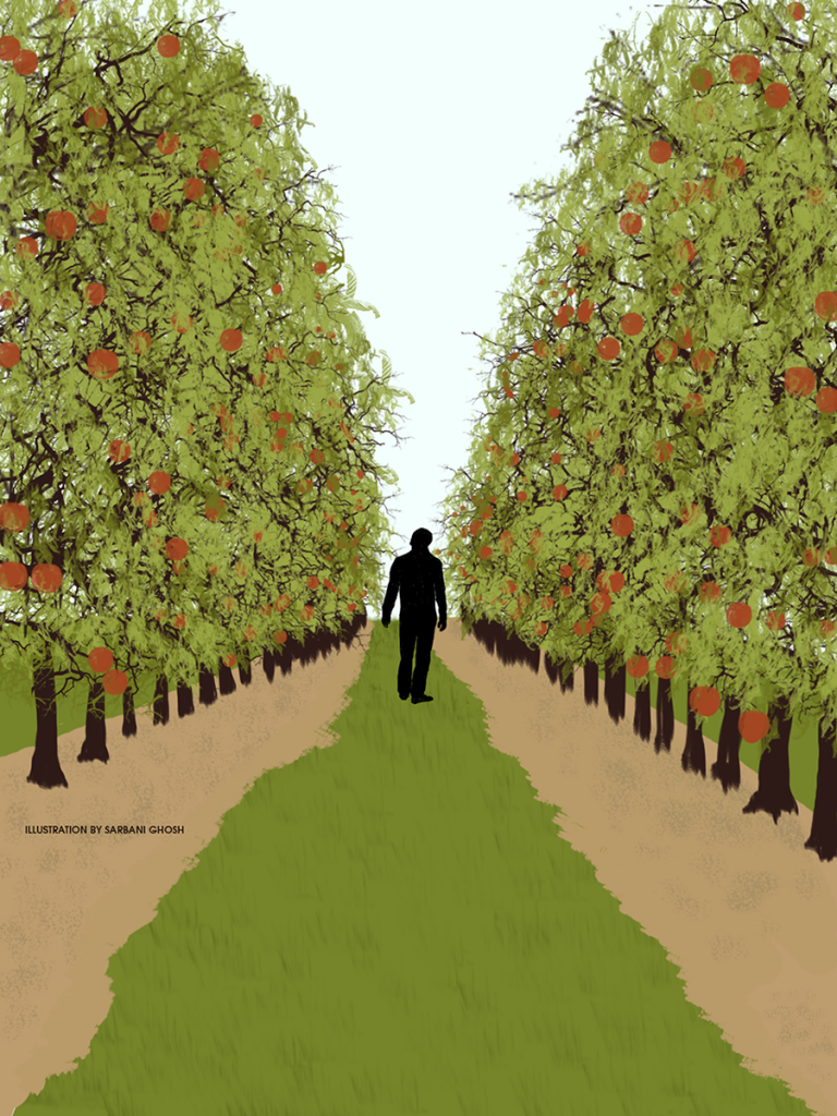 EDGE_apple orchard