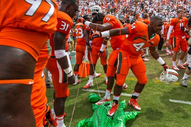 Players celebrate their defeat over the Gators. Nick Gangemi // Assistant Photo Editor