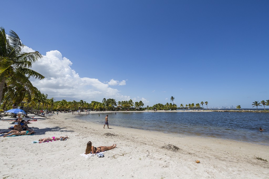 The beach lagoon at Matheson Hammock Park provides the perfect beach getaway without the need for a long car trip. Nick Gangemi // Photo Editor