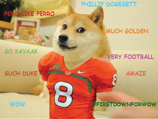 Miami Doge Football Meme-01