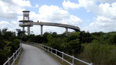 Located in the heart of Everglades National Park, Shark Valley Observation Tower provides a scenic view of the sawgrass prarie and Shark River. Photo Coutresy Milan Boers