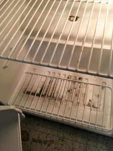 After returning from winter break, multiple students in Stanford Residential College found mold growing on their clothes, shoes and appliances, such as this mini refrigerator. The cause of the mold appeared to be an air conditioning malfunction throughout the dorm. Justin Lei // Contributing Photographer