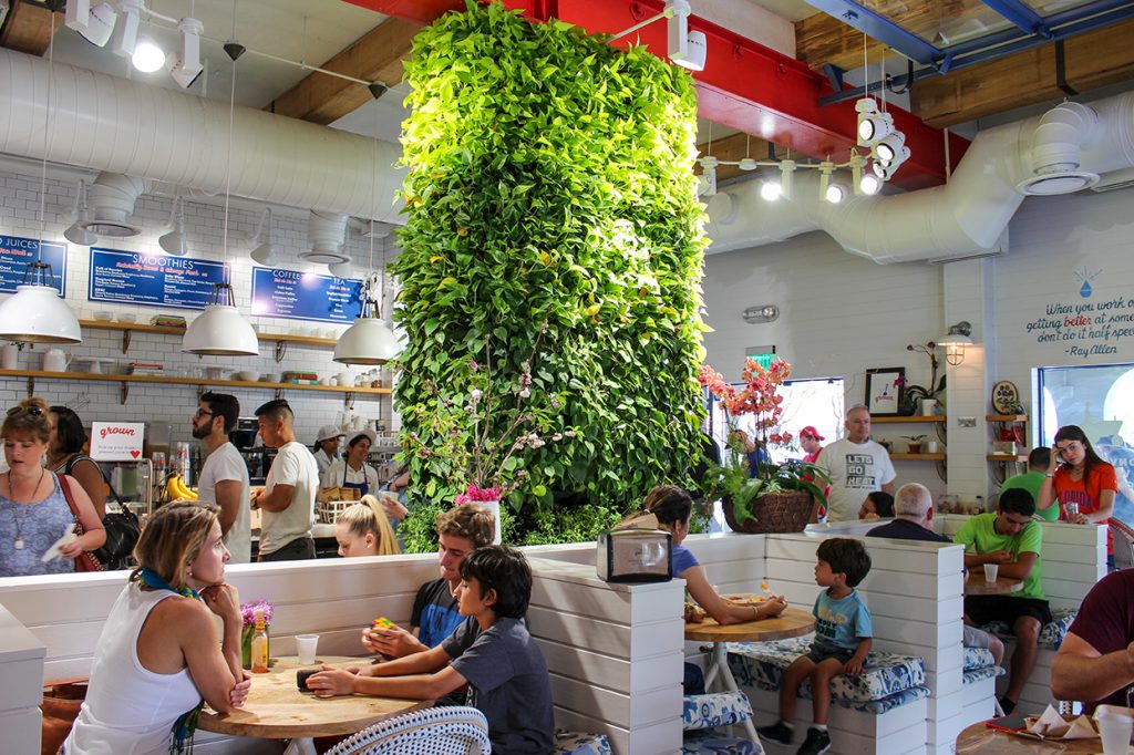 Grown serves healthy, organic fast-food in a family-friendly environment. Hallee Meltzer // Photo Editor
