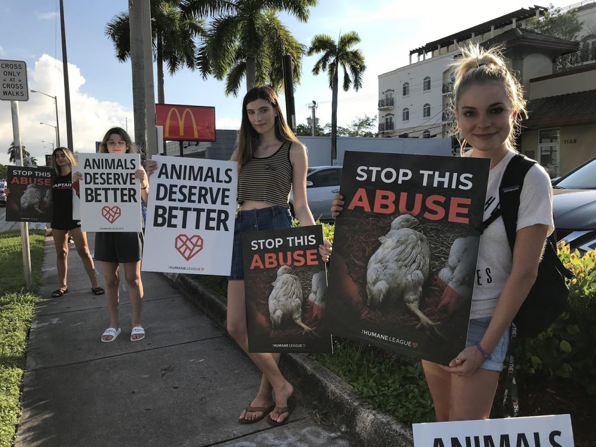 I'm Not Lovin It': Students protest to end animal abuse at McDonald's - The  Miami Hurricane