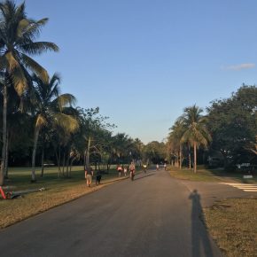 From peacocks to walkers, joggers and bicyclists, coronavirus has changed my neighborhood