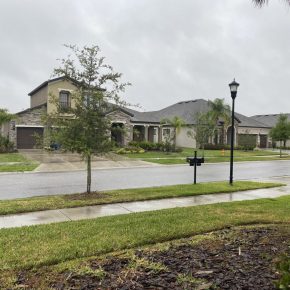 Driveway Fun in Wesley Chapel