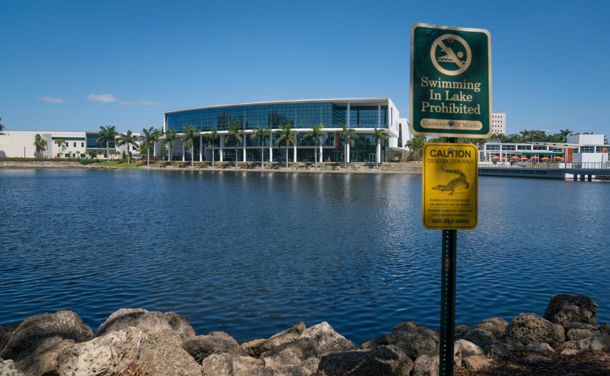 A look back on the lives lost and changed by COVID-19