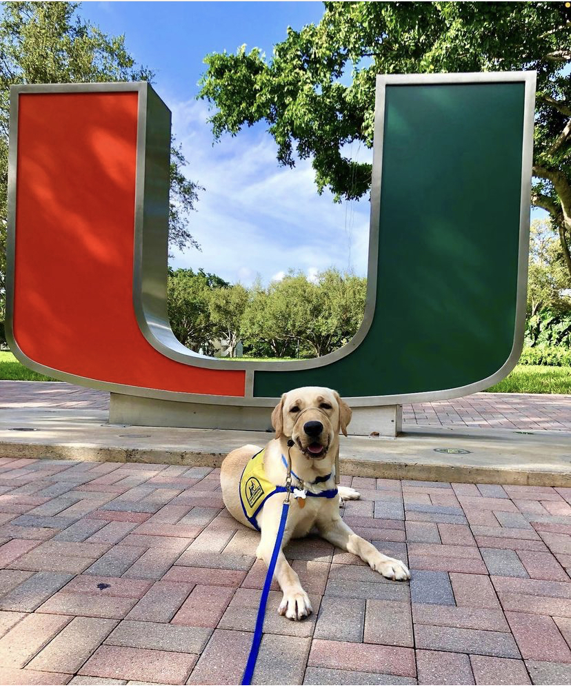 Ernesto celebrates his certification as a service dog on May 13, 2021 after training with UM's UPup student organization.
