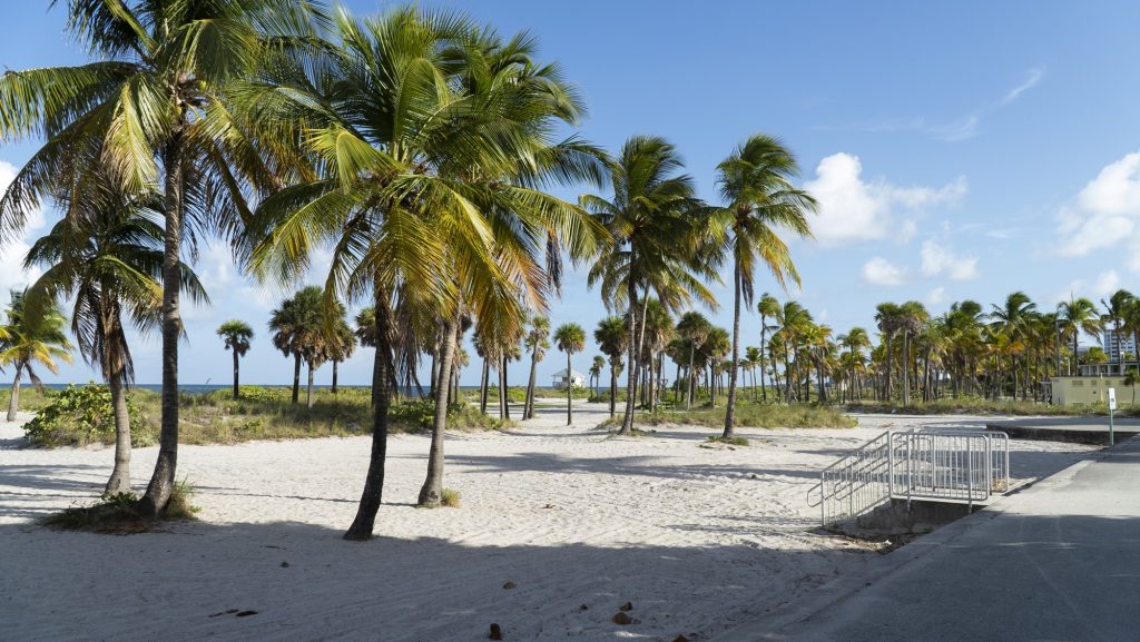 Crandon Park is a more tranquil alternative to overcrowded South Beach, pictured on Aug. 20, 2022.